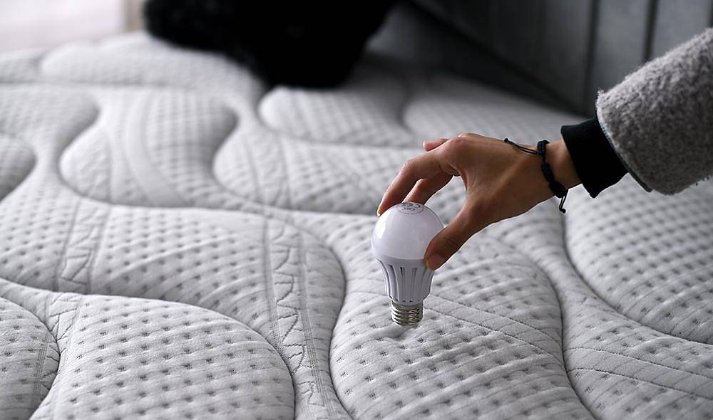 Energy Orthopedic Bed