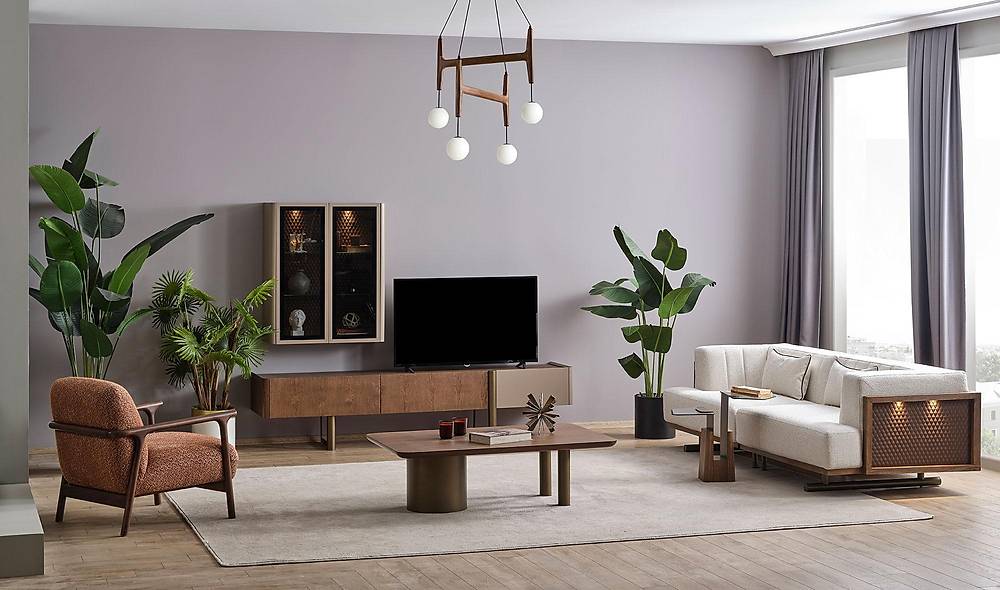 Society Sofa Set