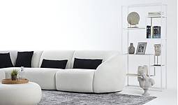 Image7