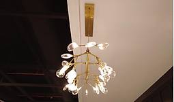 Image3