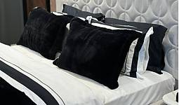 Image2