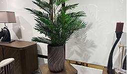 Image1