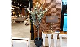 Image1