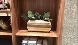 Image1