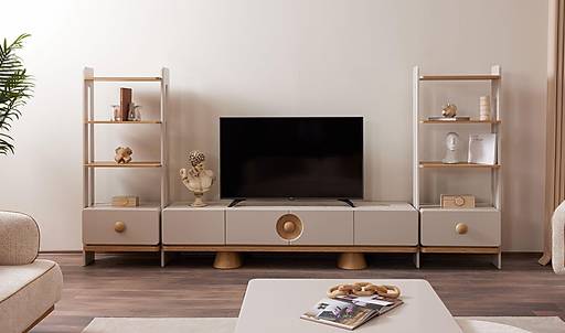 Evidence Tv Unit