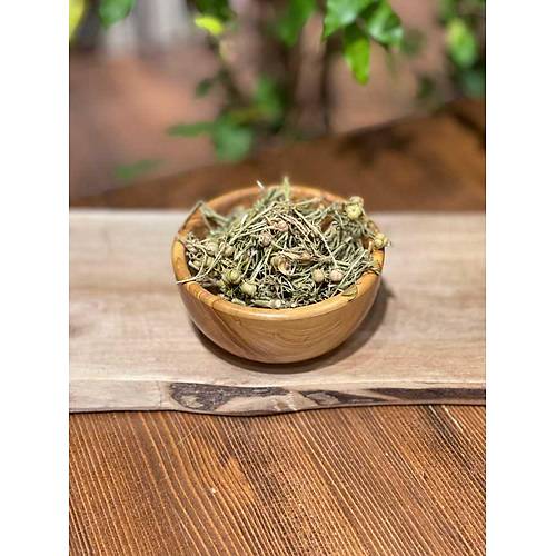 Masale �zerlik Otu Demet 62 GR