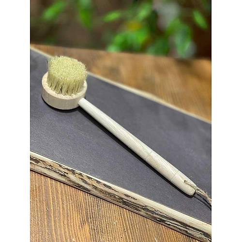 Masale Sapl Bulak Fras Uzunluk 12-14 CM Fra Sap 5-6 CM