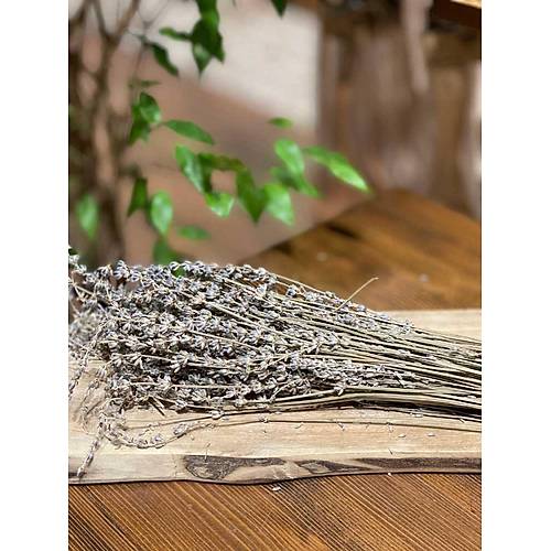 Masale 1 Demet Lavanta