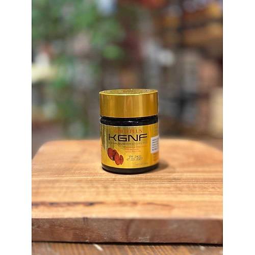 Gold Plus KGNF Ganoderma Mantar� Macun 120 Gr