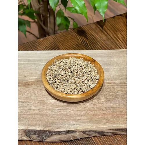 Masale Pancar Tohumu 26 GR