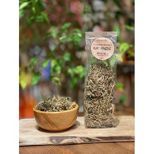 Masale Kurt Penesi 40 GR