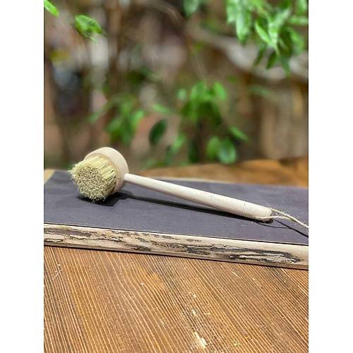 Masale Sapl Bulak Fras Uzunluk 12-14 CM Fra Sap 5-6 CM