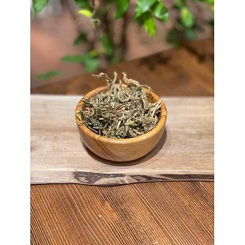 Masale Kurt Penesi 40 GR