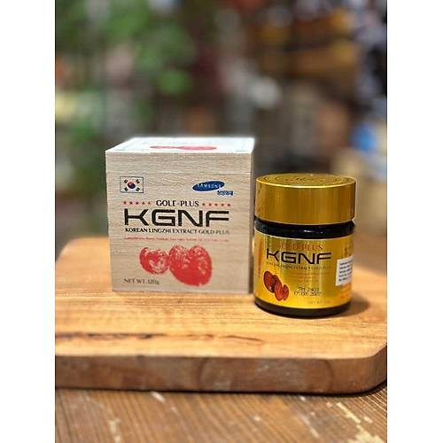 Gold Plus KGNF Ganoderma Mantar Macun 120 Gr