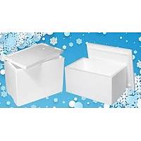 Blok - Kal�p Kuru Buz 40 KG