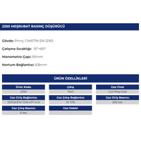 ME�RUBAT BASIN� D���R�C� 2250