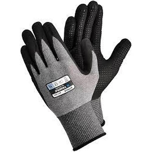 TEGERA 884A NOKTALI K�P�K N�TR�L �� G�VENL��� ELD�VEN�