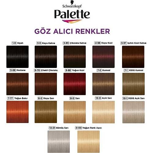 Palette Gz Alc Renkler 8-0 Koyu Sar Sa Boyas