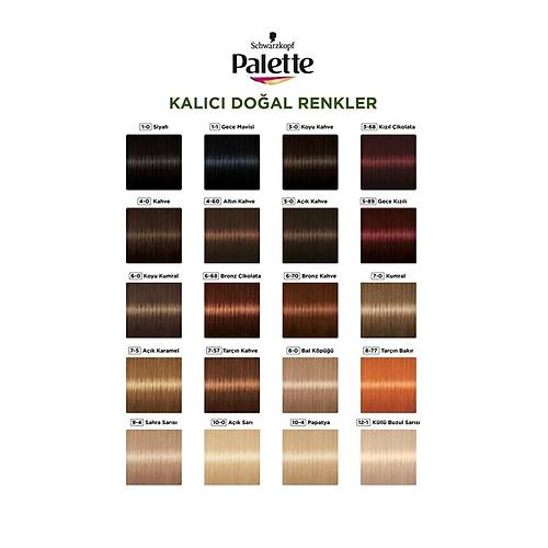 Palette Kalc Doal Renkler Sa Boyas No: 8.16 Kll Sar