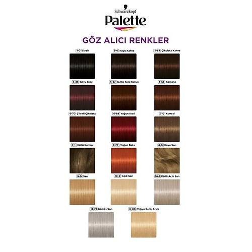 Palette Gz Alc Renkler 1-0 Siyah X 2 Adet