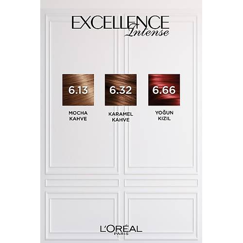 L'Oreal Paris Excellence Intense Sa Boyas 6.66 Youn Kzl