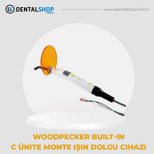 WOODPECKER BUILT IN C (NTE MONTE IINLI DOLGU CHAZI)