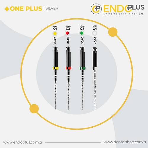 ENDO PLUS ONE PLUS SLVER KANAL EES