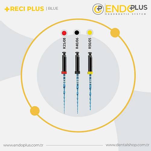 ENDOPLUS RECI PLUS  BLUE ASORT 25 MM KANAL EES