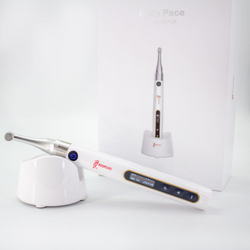 WOODPECKER ENDO PACE ENDOMOTOR