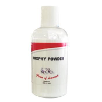 President Prophy Powder - Airflow Tozu