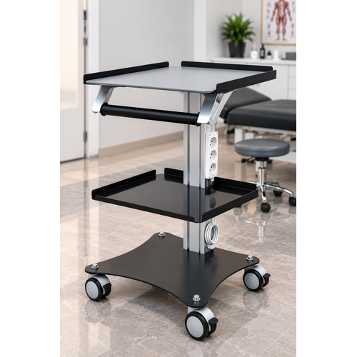 Carina Dental 01 Fizyo Sehpas�