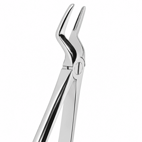 MED�S Dental Yeti�kin Bayonet Davye