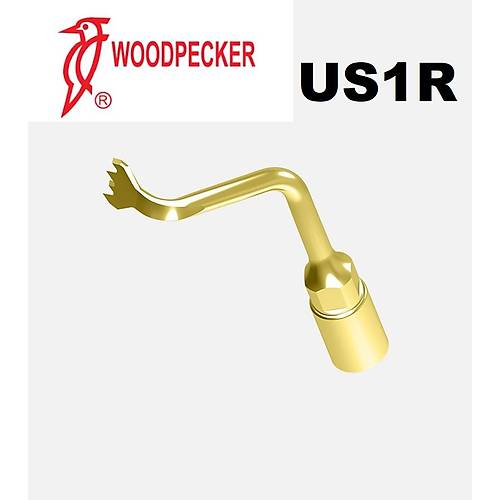 Woodpecker Ultrasurgery US1R Piezo Cerrahi Kemik Ucu � Woodpecker, Mectron ve EMS Uyumlu