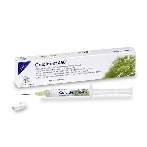 WP Dental CalciDent 450 Kalsiyum Hidroksit Pat� 2x2 ml