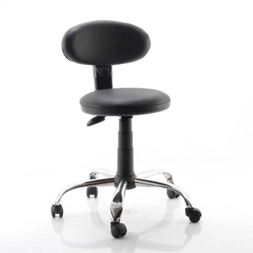 DS Dental Hekim Taburesi  Ergonomik Tabure Renk Seebilir