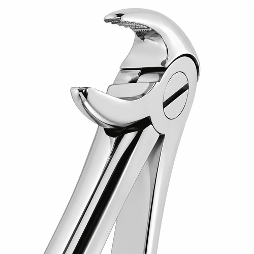 MED�S Dental Yeti�kin Alt Premolar Davye
