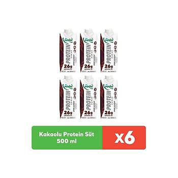 Pnar Kakaolu Protein St 500 ml x 6 adet