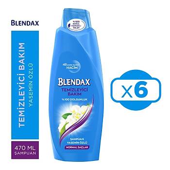 Blendax ampuan Yasemin Normal Salar 470 ml x 6 Adet