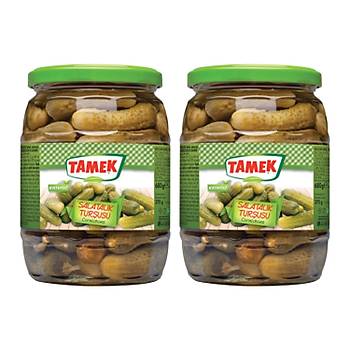 Tamek Salatalk Turusu 680 gr Cam 2 li