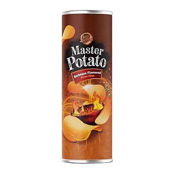 Master Potato Cips 160 gr 3 l Karma Paket / Sebze - Soan - BBQ