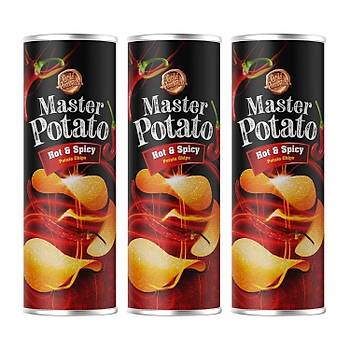 Master Potato Acl & Baharatl Cips 160 Gr-3 Adet