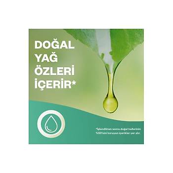 Air Wick Elektrikli Oda Kokusu+ Yedek ie Bahar iekleri-Esansiyel Yalar erir*