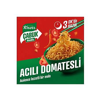 Knorr abuk Noodle Seti 15 li (Kri-Tavuk-Acl Domates)