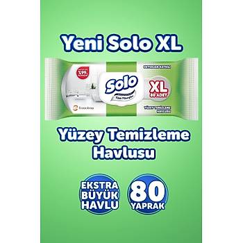 Solo Tm Yzeyler Islak Temizleme Havlusu XL 2'li 160 Yaprak