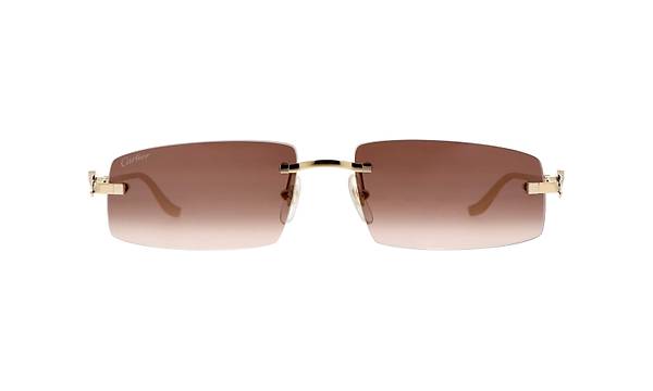 CARTIER CT0505S 003 58-16Gne Gzl