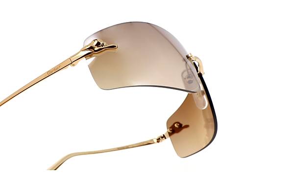 CARTIER CT0503S 004 71-18 Gold Gne Gzl