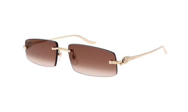 CARTIER CT0505S 003 58-16Gne Gzl