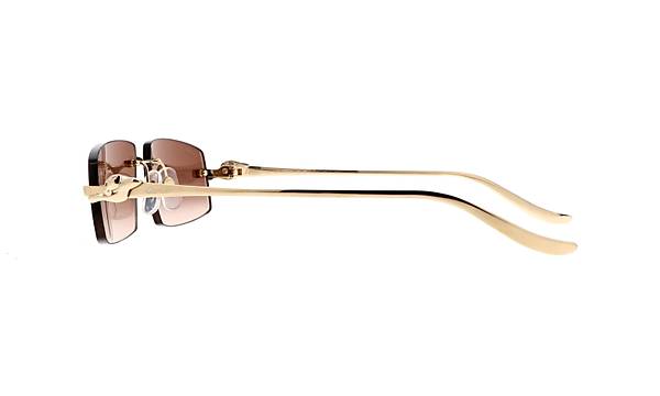 CARTIER CT0505S 003 58-16Gne Gzl