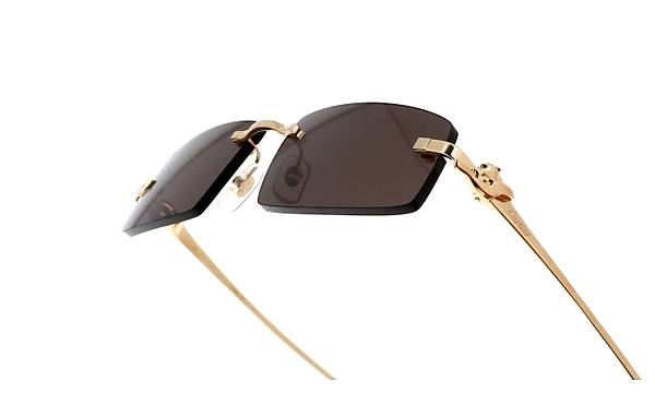 CARTIER CT0505S 001 58-16Gne Gzl