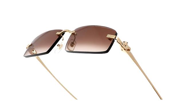 CARTIER CT0505S 003 58-16Gne Gzl